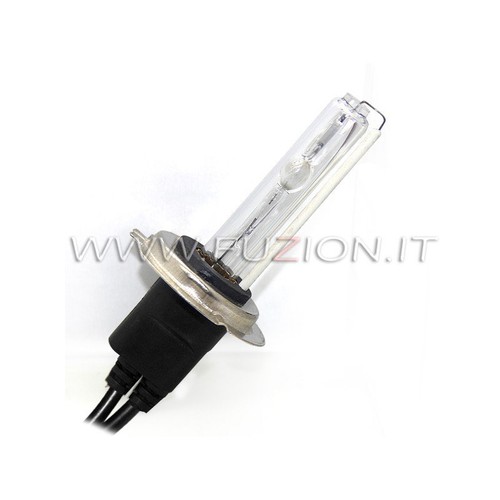 Kit ricambio lampade xenon - ricambio,